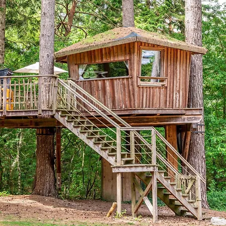 Baumhaus Wernerwald クックスハーフェン