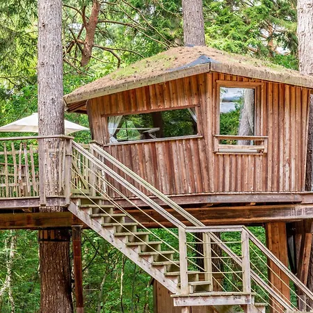 Baumhaus Wernerwald Casa de Férias